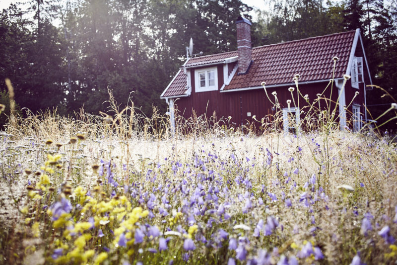 So holst du dir Mittsommer nach Hause