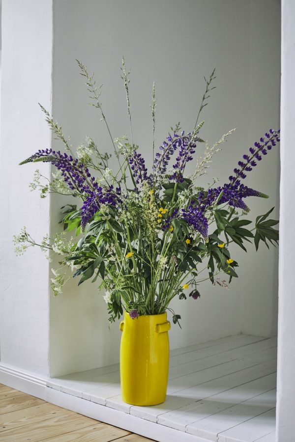 Lupinen